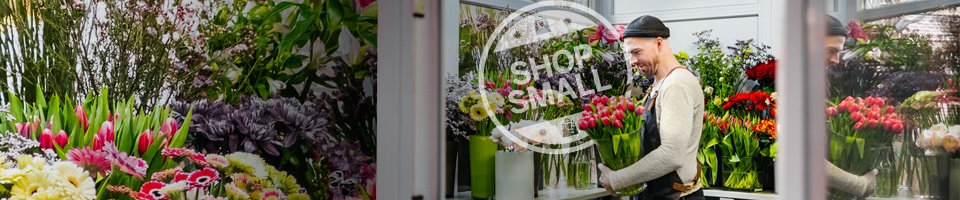 American Express Header Desktop