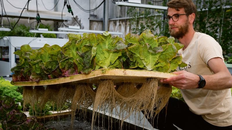 Südtirol 8 Durst Titel